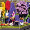 Выставка цветов в Нидерландах 